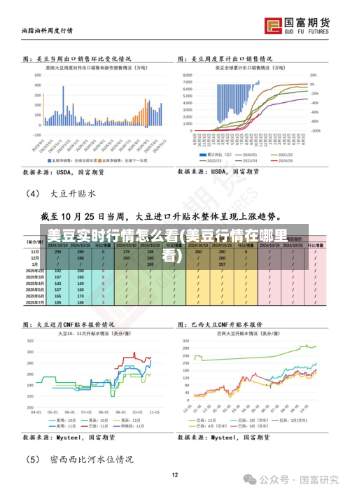 美豆实时行情怎么看(美豆行情在哪里看)