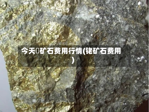 今天鉄矿石费用行情(铑矿石费用)-第2张图片