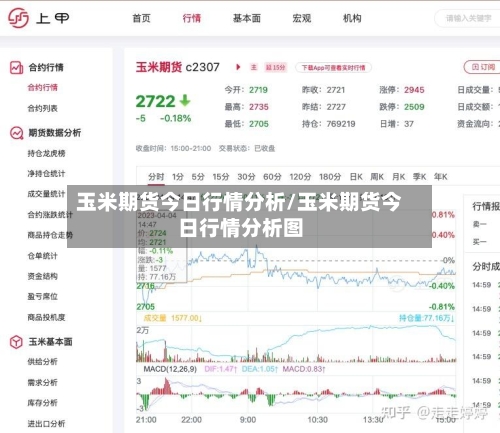 玉米期货今日行情分析/玉米期货今日行情分析图