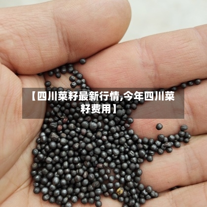 【四川菜籽最新行情,今年四川菜籽费用】-第3张图片