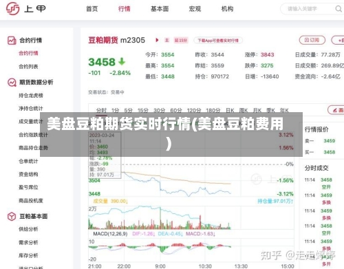 美盘豆粕期货实时行情(美盘豆粕费用)-第2张图片