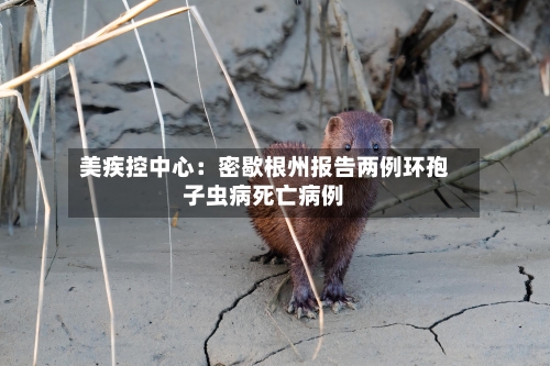 美疾控中心：密歇根州报告两例环孢子虫病死亡病例-第2张图片