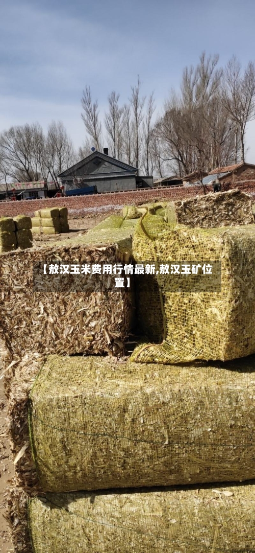 【敖汉玉米费用行情最新,敖汉玉矿位置】