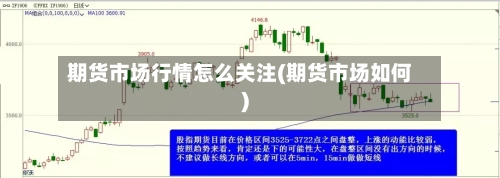 期货市场行情怎么关注(期货市场如何)