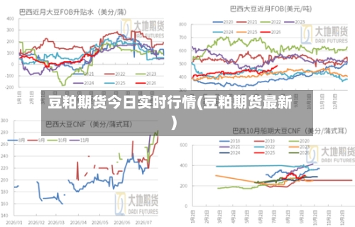 豆粕期货今日实时行情(豆粕期货最新)-第2张图片
