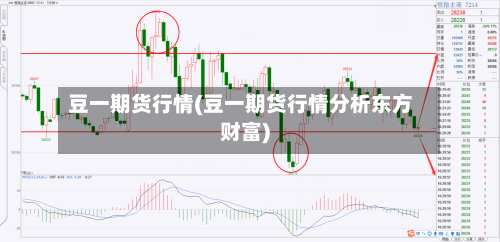 豆一期货行情(豆一期货行情分析东方财富)