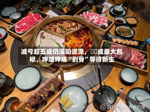 减亏超五成仍深陷泥潭，湊湊成最大包袱，呷哺呷哺“刮骨”等待新生