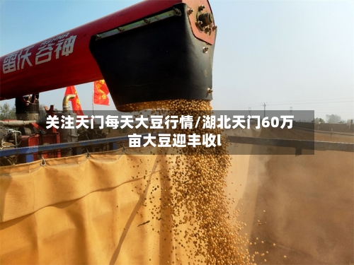 关注天门每天大豆行情/湖北天门60万亩大豆迎丰收l