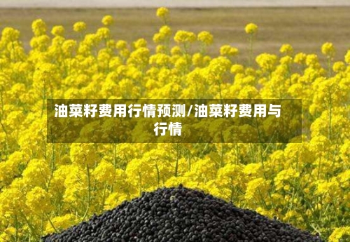油菜籽费用行情预测/油菜籽费用与行情-第2张图片