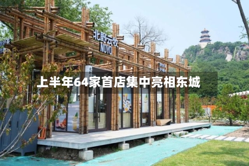 上半年64家首店集中亮相东城-第3张图片
