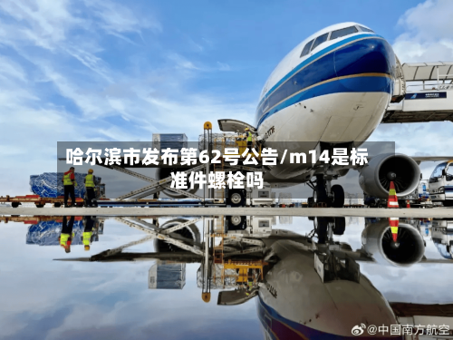 哈尔滨市发布第62号公告/m14是标准件螺栓吗-第3张图片