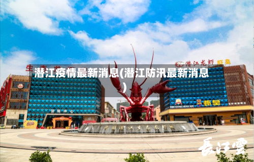 潜江疫情最新消息(潜江防汛最新消息)