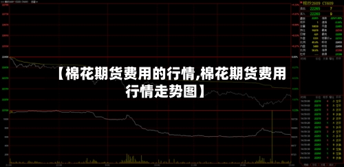 【棉花期货费用的行情,棉花期货费用行情走势图】