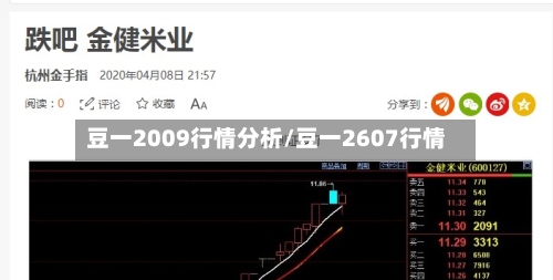 豆一2009行情分析/豆一2607行情-第3张图片