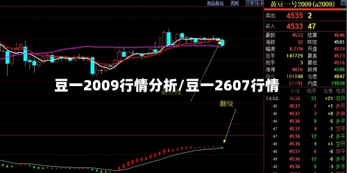 豆一2009行情分析/豆一2607行情