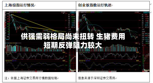供强需弱格局尚未扭转 生猪费用短期反弹阻力较大