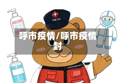 呼市疫情/呼市疫情封-第2张图片