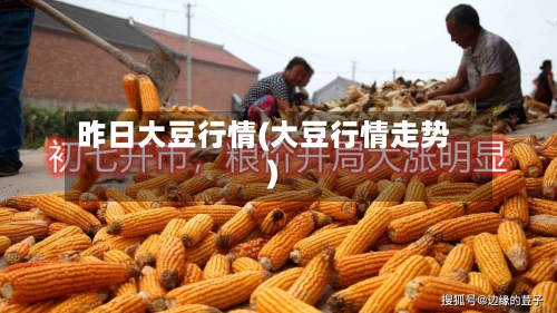 昨日大豆行情(大豆行情走势)-第3张图片