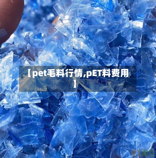 【pet毛料行情,pET料费用】