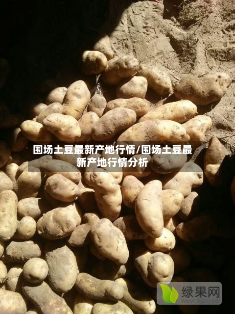 围场土豆最新产地行情/围场土豆最新产地行情分析-第3张图片