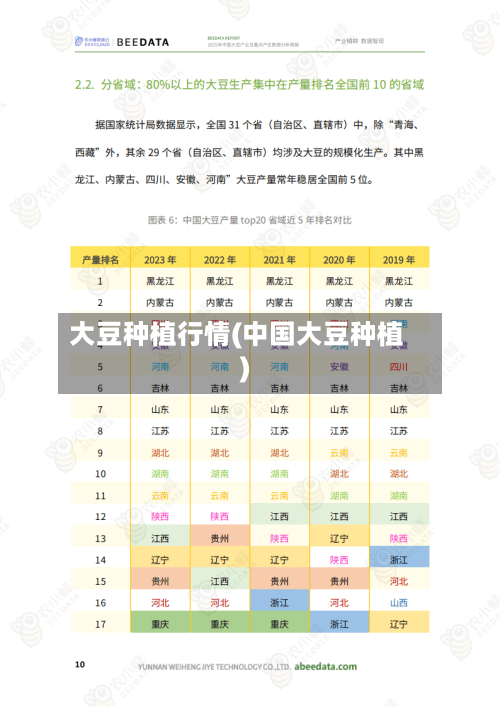 大豆种植行情(中国大豆种植)