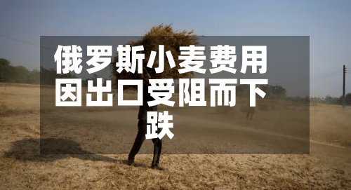 俄罗斯小麦费用因出口受阻而下跌-第2张图片