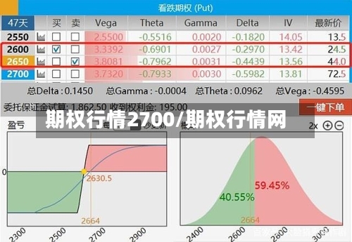 期权行情2700/期权行情网-第2张图片