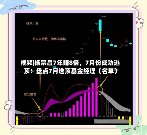 视频|杨宗昌7年赚8倍，7月份成功逃顶！盘点7月逃顶基金经理（名单）-第2张图片