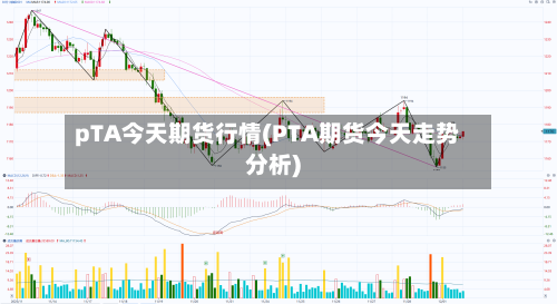 pTA今天期货行情(PTA期货今天走势分析)-第2张图片