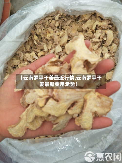 【云南罗平干姜最近行情,云南罗平干姜最新费用走势】