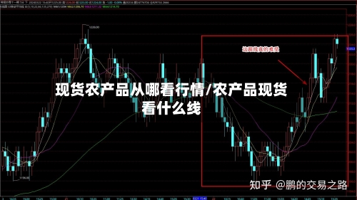 现货农产品从哪看行情/农产品现货看什么线