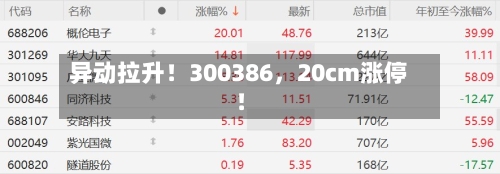 异动拉升！300386，20cm涨停！-第2张图片