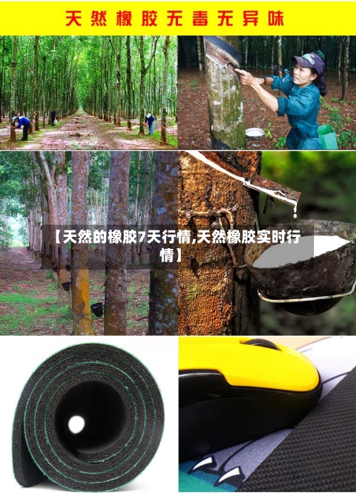 【天然的橡胶7天行情,天然橡胶实时行情】-第2张图片