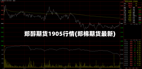 郑醇期货1905行情(郑棉期货最新)-第2张图片