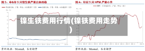 镍生铁费用行情(镍铁费用走势)