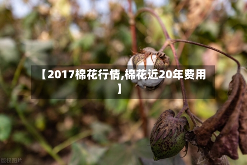 【2017棉花行情,棉花近20年费用】-第1张图片