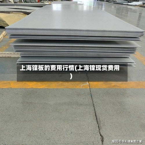 上海镍板的费用行情(上海镍现货费用)