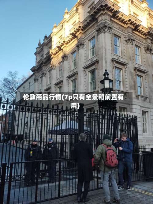 伦敦商品行情(7p只有全景和前置有用)
