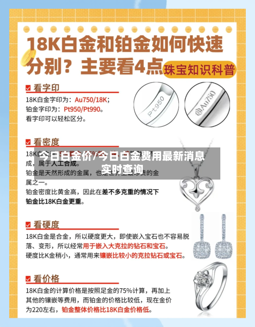今日白金价/今日白金费用最新消息实时查询