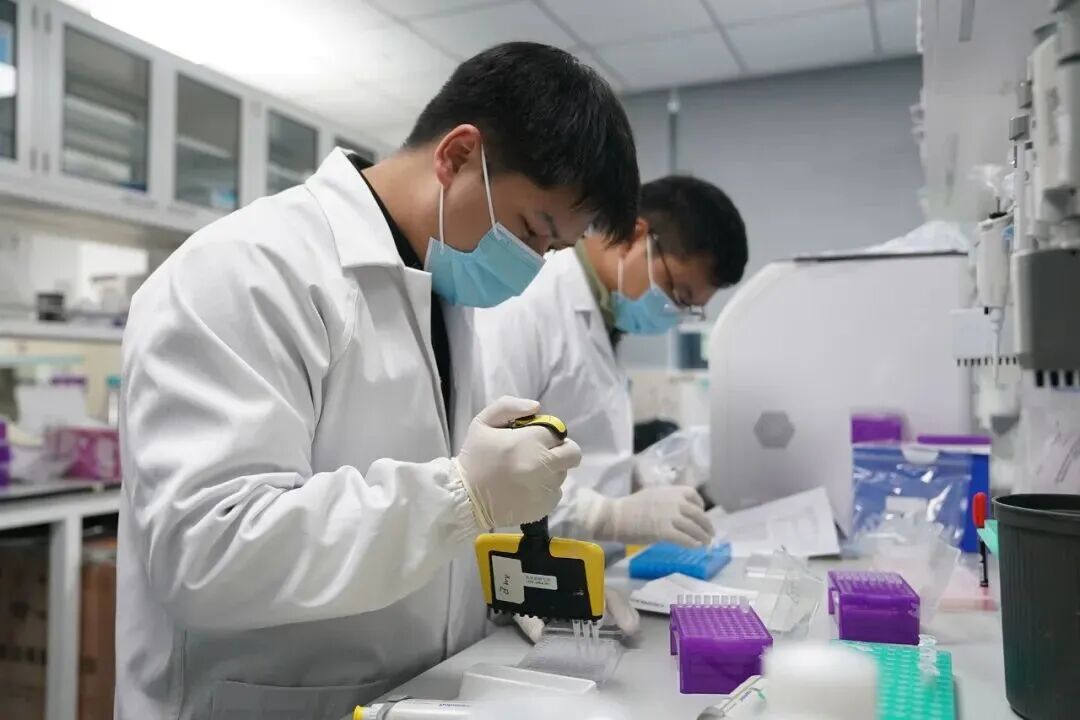 猴子价格涨疯了	，20万一只还抢不到？可是峨眉山上不是超级多吗？